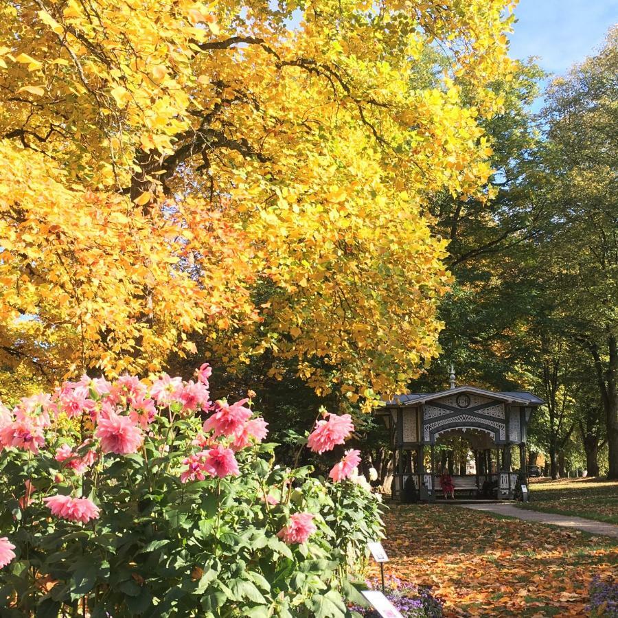 Allee Apartment Baden-Baden Buitenkant foto